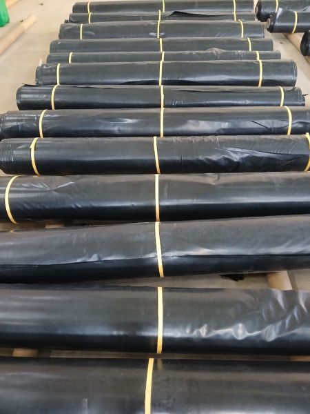 Geomembrane & Waterproofing